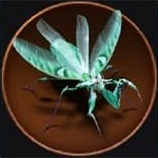 Devil Flower