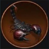 Emperor Scorpion