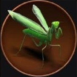 Giant Mantis