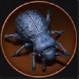 Iron Beetle