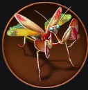 Phantom Mantis