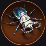Sapphire Beetle
