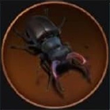 Stag Beetle