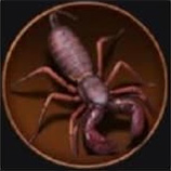 Whip Scorpion